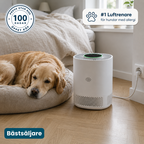 ArcticAir™ - Mindre allergibesvär för hunden du älskar